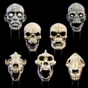 Mythic Legions Mythic Legions Undead Heads Pack
