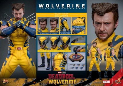 Hot Toys Marvel Wolverine (Deluxe - Deadpool & Wolverine)